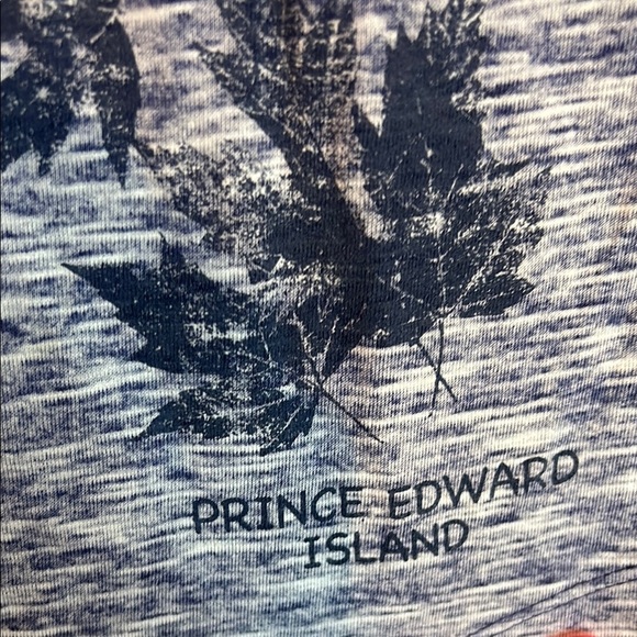 Gray and Blue Cap Sleeve Fitted Embellished Tee - Picture 3 of 13